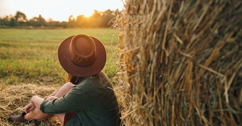 haycation