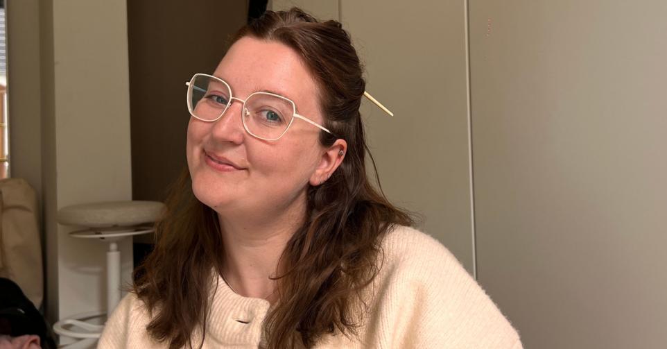 stokje in haar