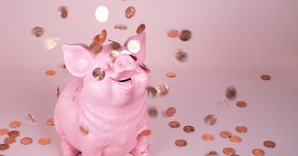 Dysmorphie financière