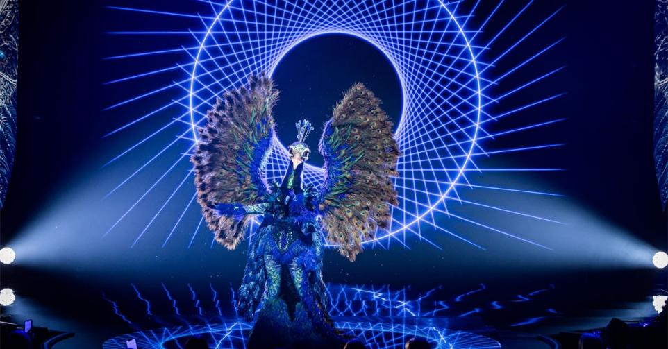 the masked singer pauw