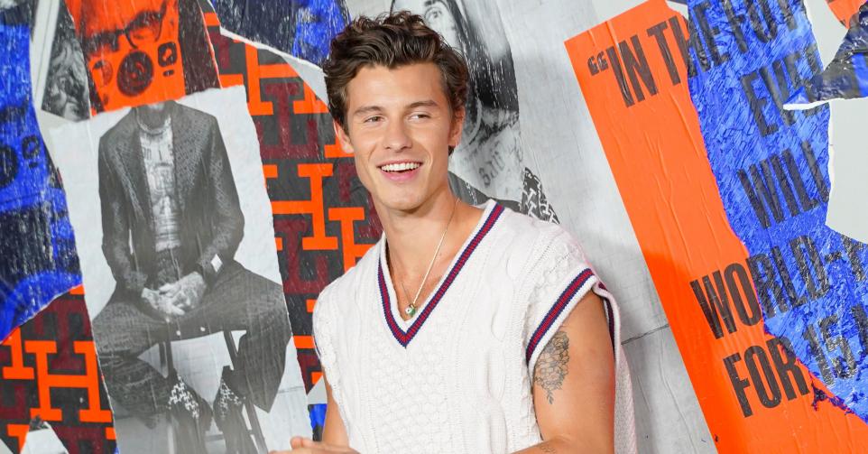 shawn mendes bros