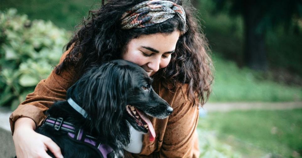 adresjes honden welkom