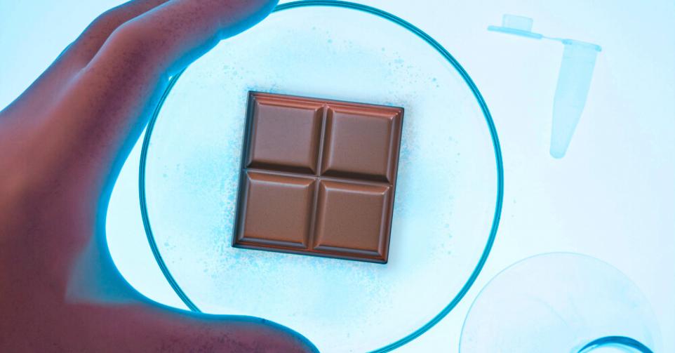 cacao laboratoire