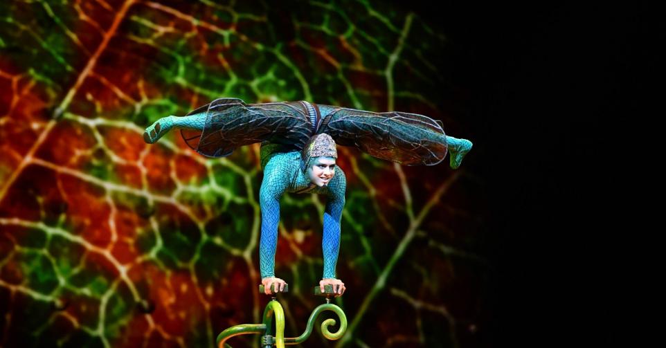 Cirque du Soleil