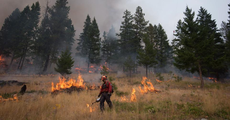 In Peachland in Brits-Columbia probeert de brandweer het vuur onder controle te krijgen.