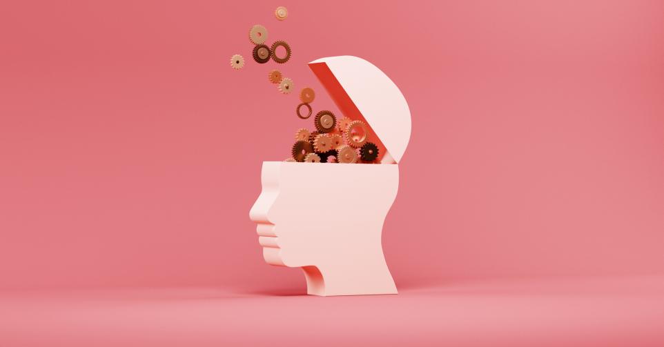 Cerveau