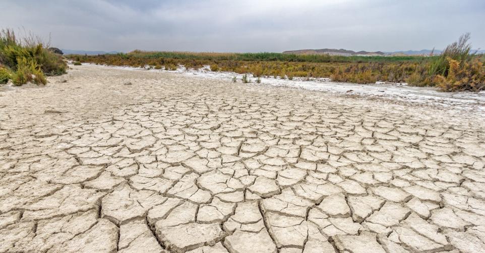 L'Andalousie (Espagne), victime de la sécheresse