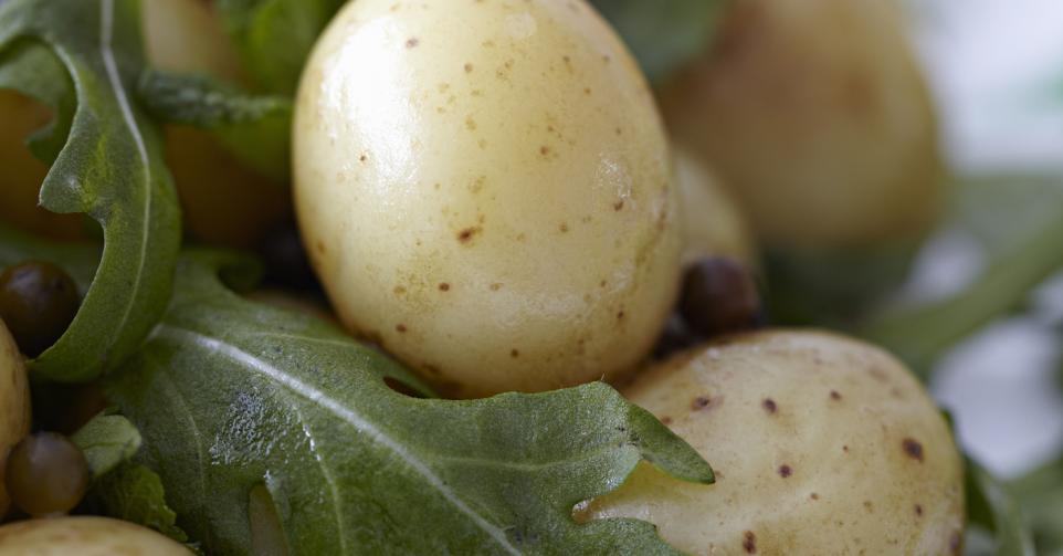 Gerookte aardappelsalade met rucolamayonaise