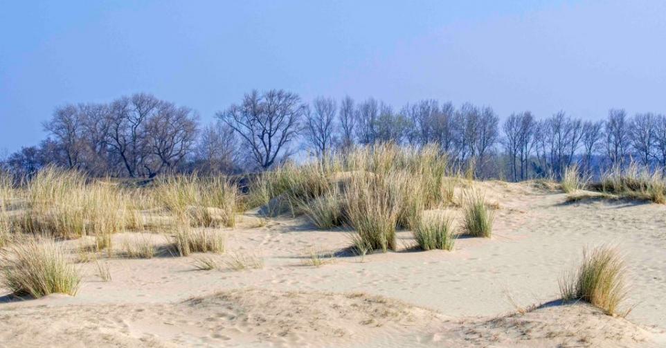 dunes la Panne