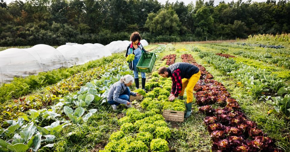 agriculture bio