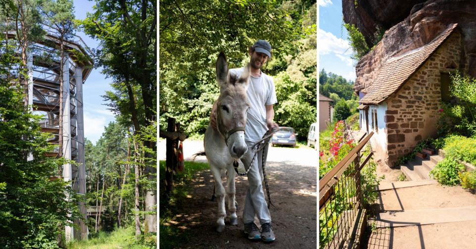 Activités Vosges du Nord