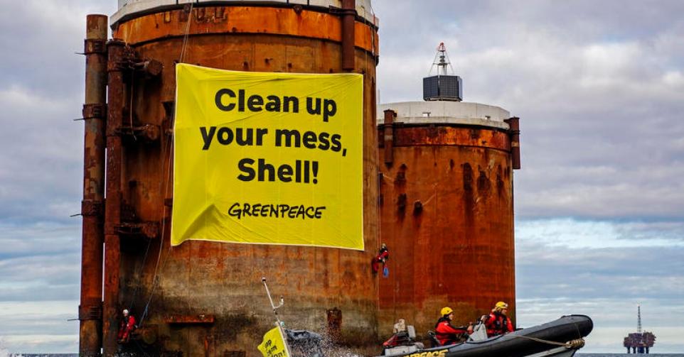 Greenpeace Natuurpunt