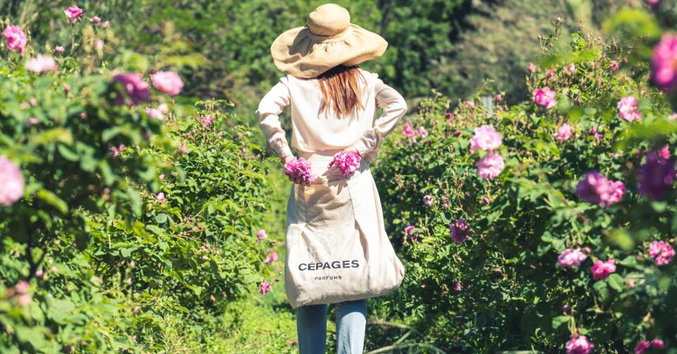 Cépages parfums