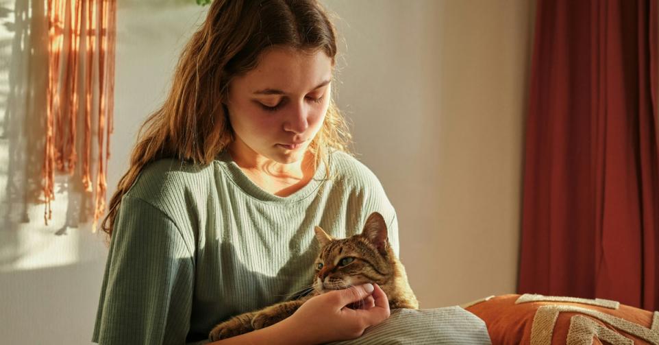 huisdieren mentale gezondheid