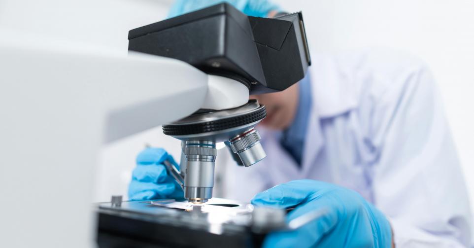 recherches scientifiques traitements
