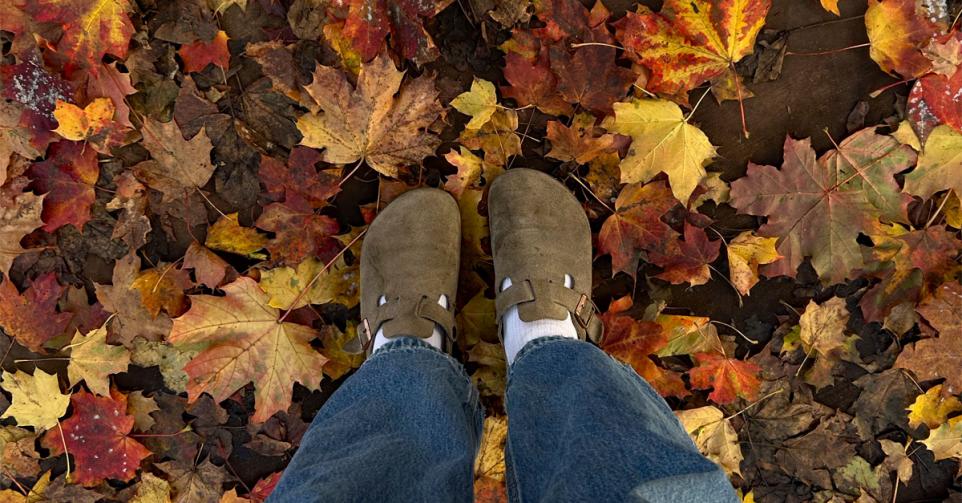 herfst sterrenbeeld