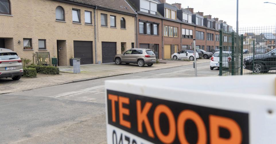 immobilier flamands