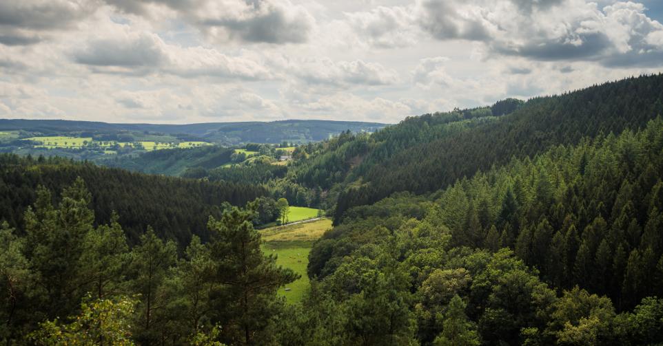nature Wallonie
