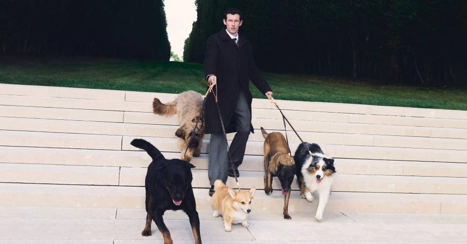 Louis Vuitton hondencollectie campagnebeeld