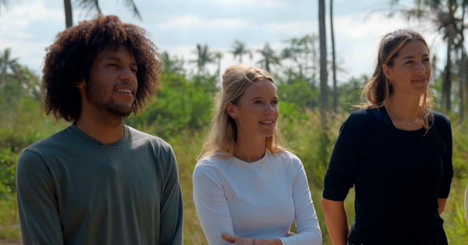 poll de mol