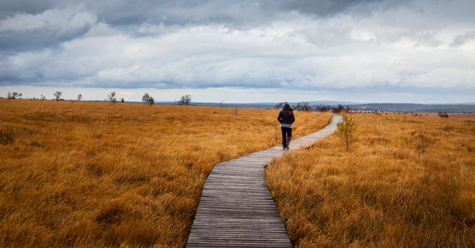 Wandelingen België