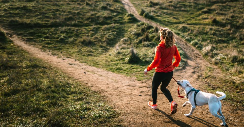 hardlopen met je hond