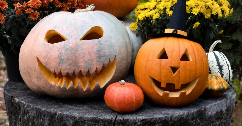 Halloween doet pompoenareaal in België fors uitbreiden.