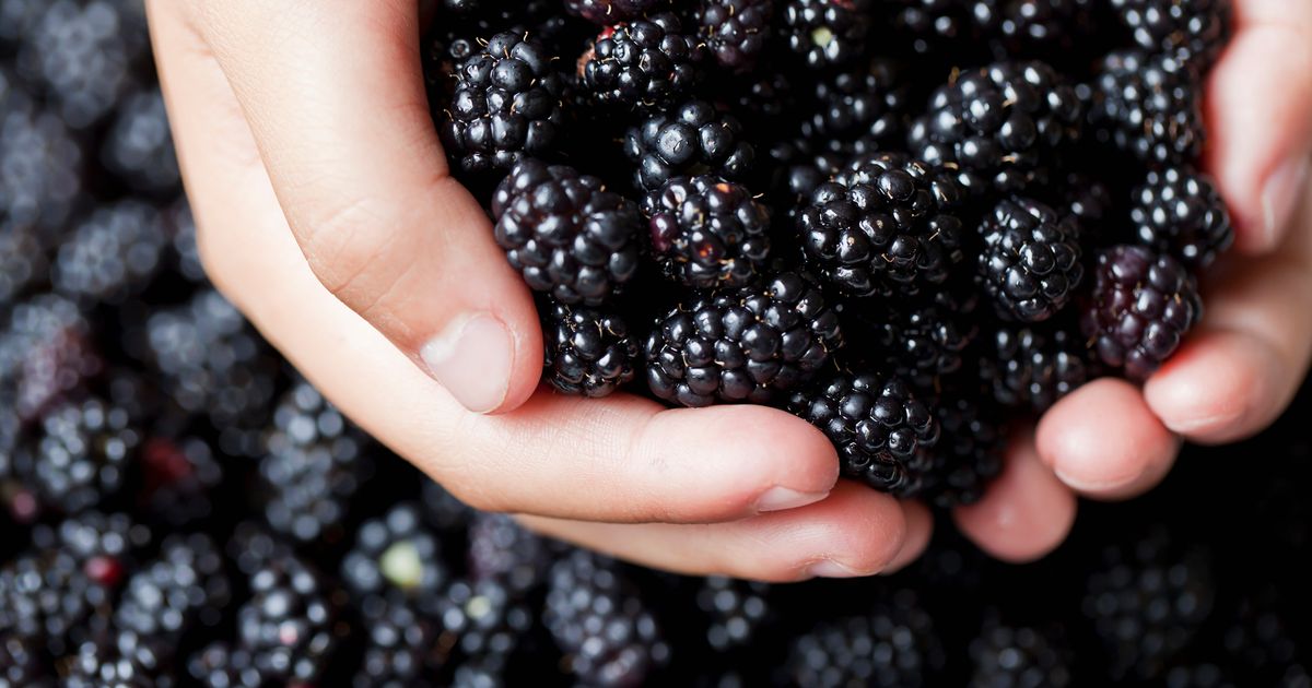 5 redenen waarom braambessen jouw nieuwe superfruit zijn - Libelle Lekker