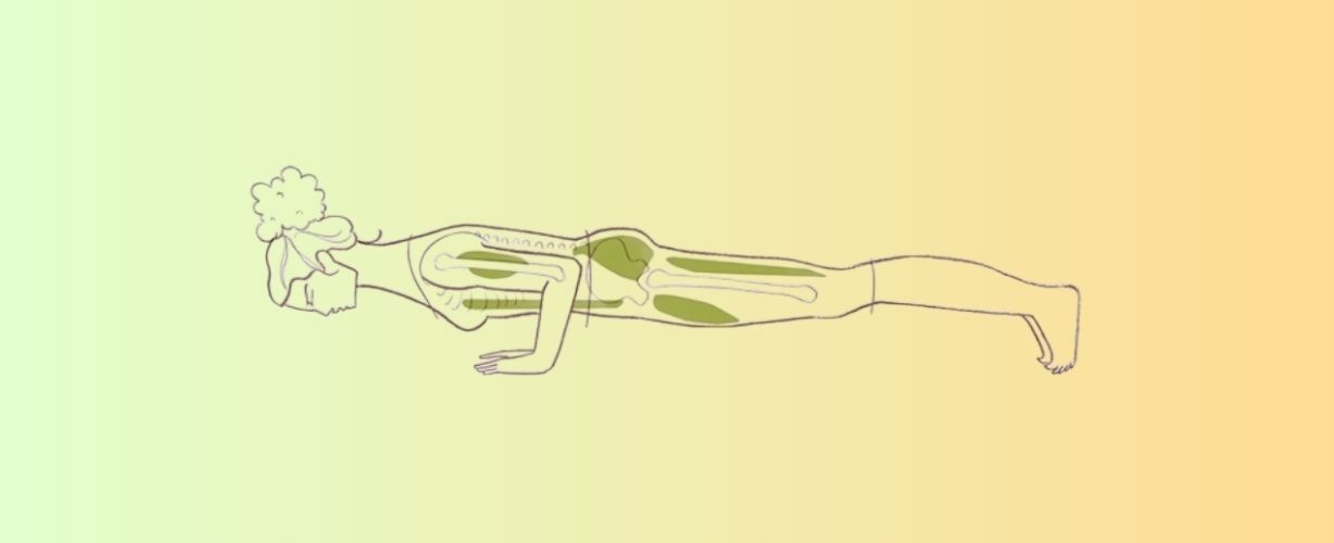 YOG uitgelicht – Chaturanga Dandasana