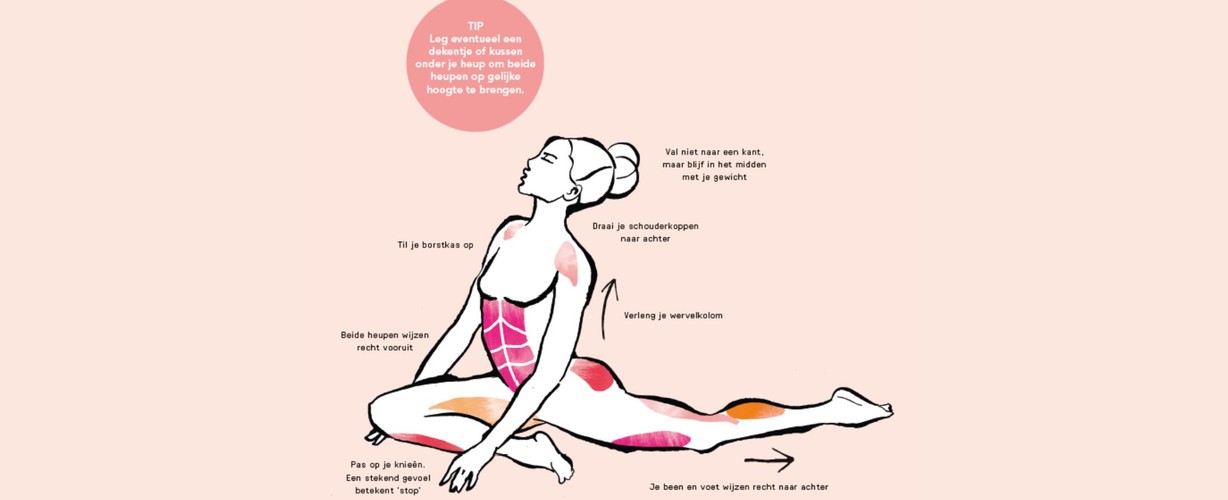 how to de duif