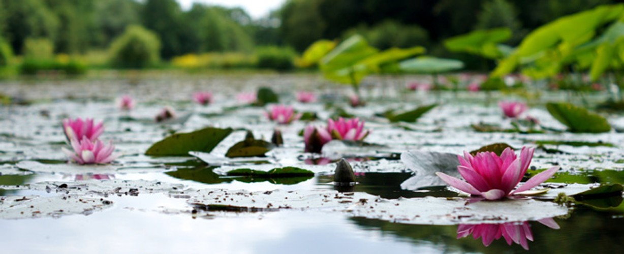 spirituele-groei-hanna-skoromma-unsplash-blog