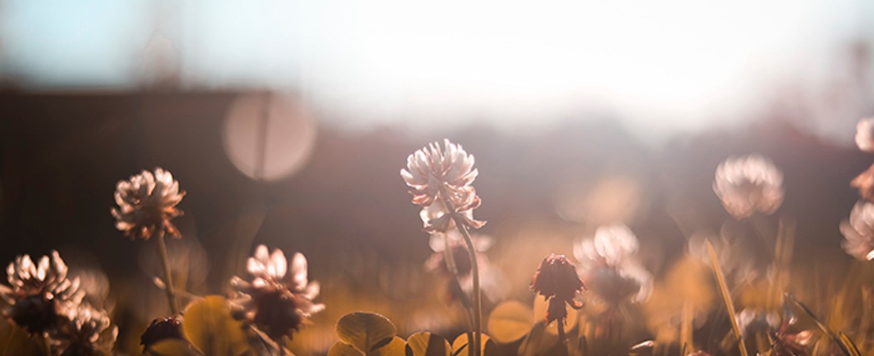yoga-agenda lente