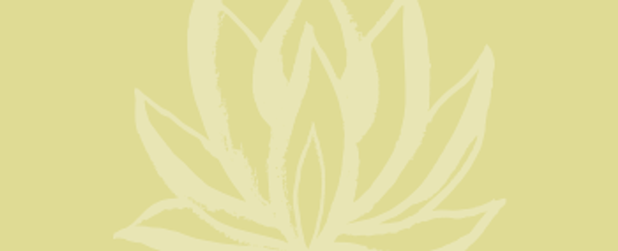 Blog quote – geel – Lotus