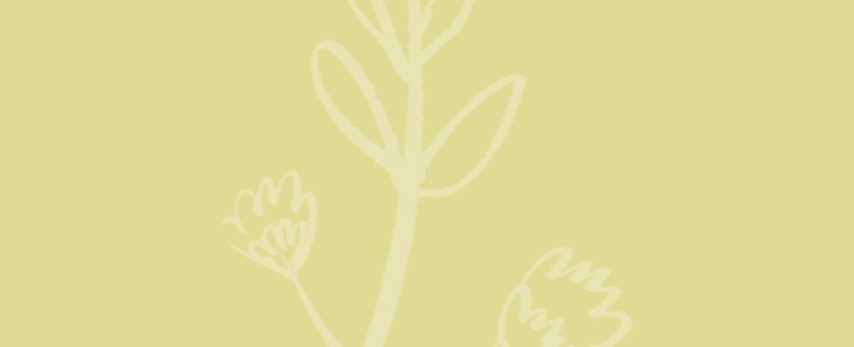 Blog quote – geel – Takje