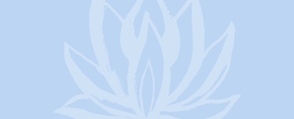 Blog quote – lichtblauw – Lotus