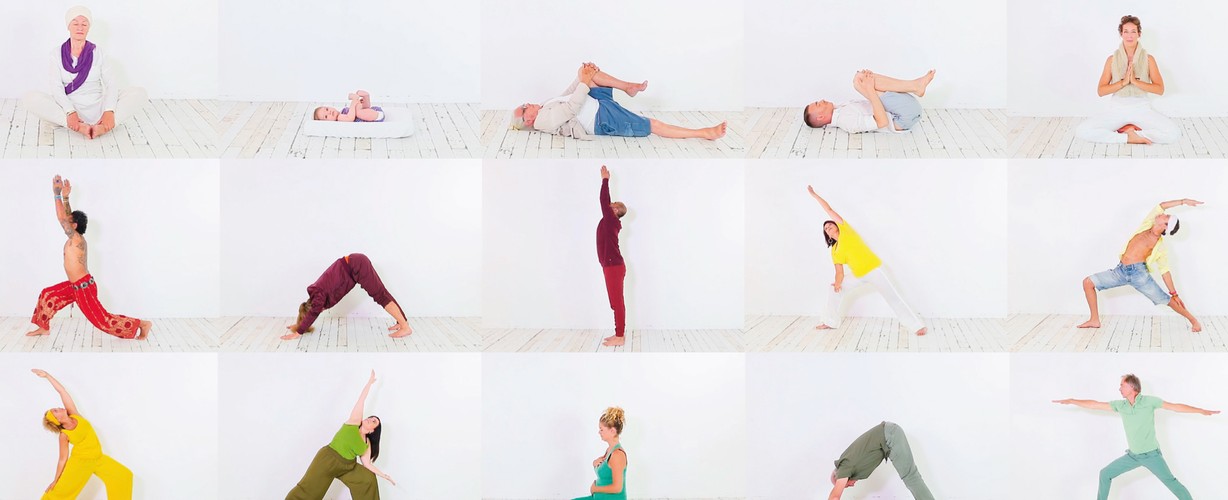 40 yogi's