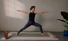 Vyana Vayu yogales