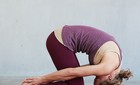 Konijnhouding rabbit pose