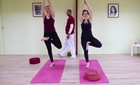 Yogi Ram - Hatha