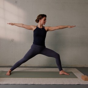 Vyana Vayu yogales