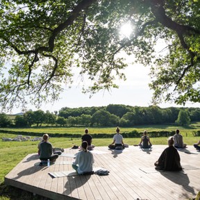 Yoga agenda voorjaar