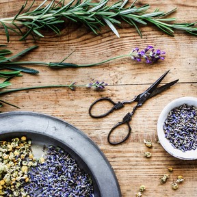 Sfeerbeeld kamille rozemarijn lavendel