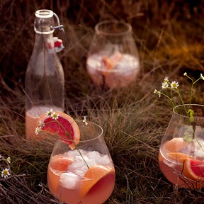 grapefruit gin tonic – Milou van der Will-6