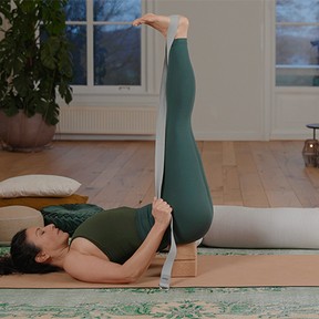 De basis van Iyengar yoga
