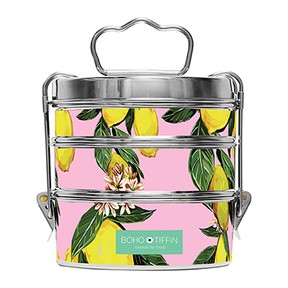 lunchbox-tiffin700x390