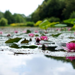 spirituele-groei-hanna-skoromma-unsplash-blog