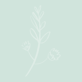 Blog quote – mint – Takje