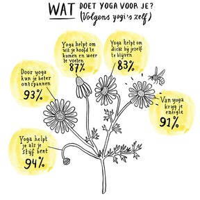 Infographic Yoga in Nederland