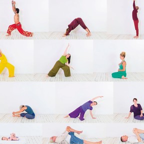 40 yogi's