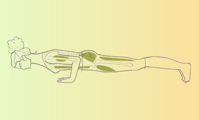 YOG uitgelicht – Chaturanga Dandasana